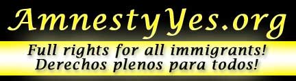Amnesty Now