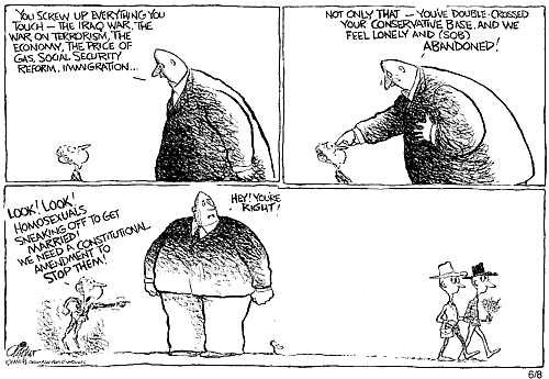 Bush and gay marriage