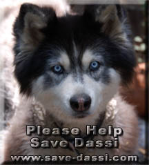 Save Dassi