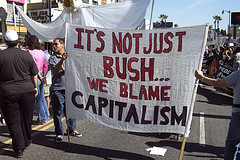 notjustbush.jpg