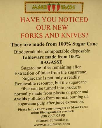 bagasse forks and knifes