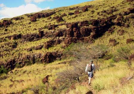 Lahaina Pail trail