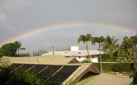 Maui rainbow