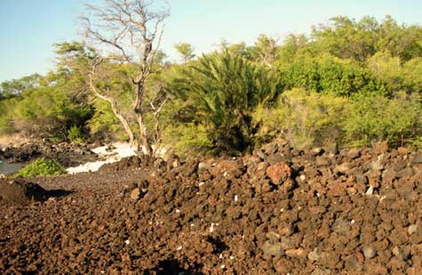Kings Highway, Maui, native ruins