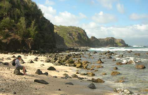 Northern Maui beach