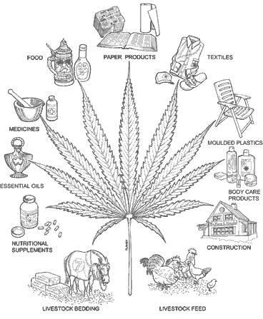 Uses for Hemp