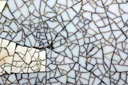 fractures.jpg