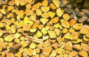 firewood