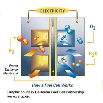 How Fuel Cells Work