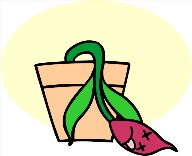 deadflower.jpg