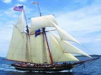 Amistad America