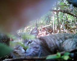 Mr. Lee goes exploring