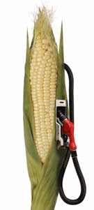 corn ethanol