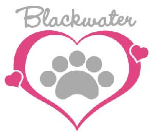 Blackwater logo contest 2