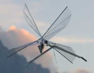 Delfly I