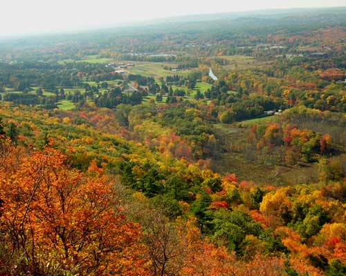 Fall foliage. near Heublein Tower, Talcott Mountain State Park