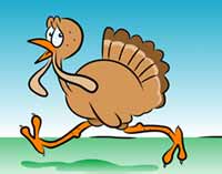 turkey.jpg