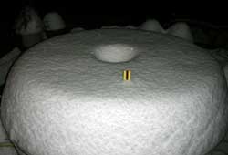 angelfoodcak-snow.jpg