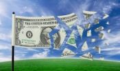dollarflag.jpg