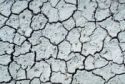 drought