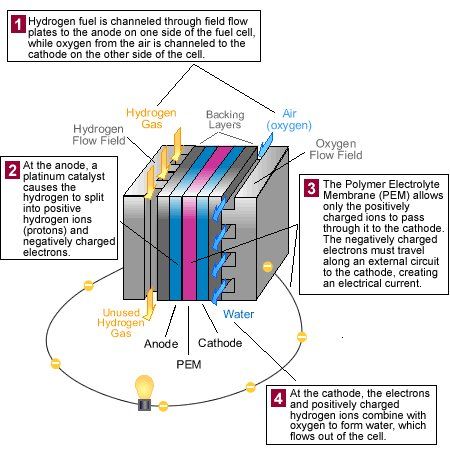 PEM fuel cell