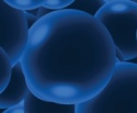 bubble