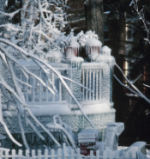 ice storm