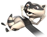road kill