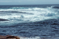 waves