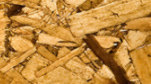 wood chips