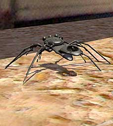 RoboBug