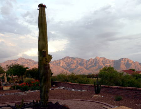 Catalina Mtns. dusk. Oro Valley AZ