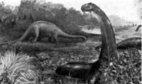dinosaurs