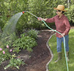watering garden