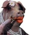 lipstick on a pig