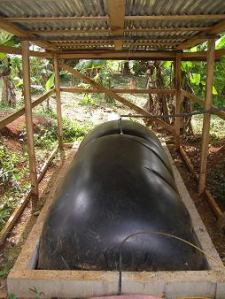 biodigester. cooking fuel from cow manure