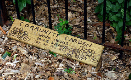 Community Garden by eschlabach