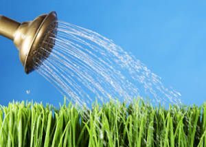 watering lawn