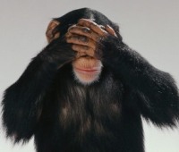 see no evil