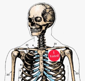 skeleton. I voted