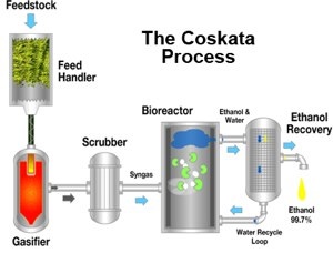 coskata-chart