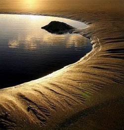 dark pool