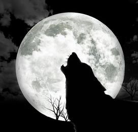 howl at the moon howl at the moon