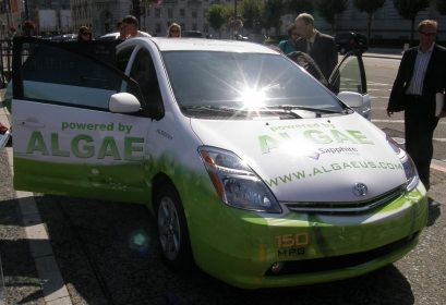 algae prius algae prius