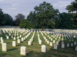 graveyard