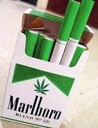 Marlboro Green