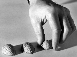 shell-game