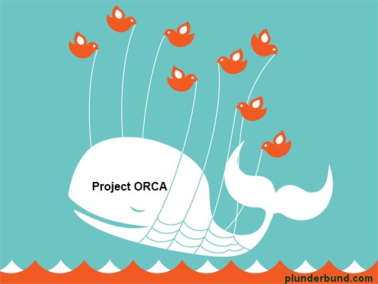 ORCA fail whale