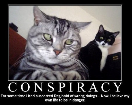 cat conspiracy