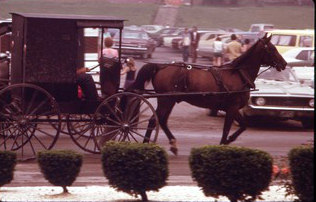 AMISH_HORSE_AND_BUGGY